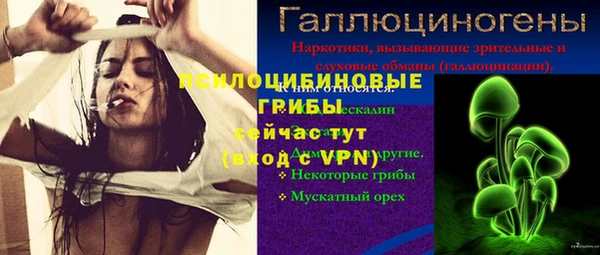 таблы Арсеньев