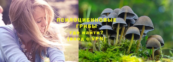 таблы Арсеньев
