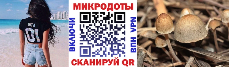 Галлюциногенные грибы GOLDEN TEACHER Хотьково